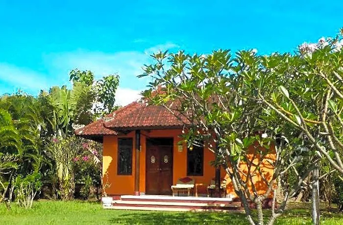 Bali Oase 2*
